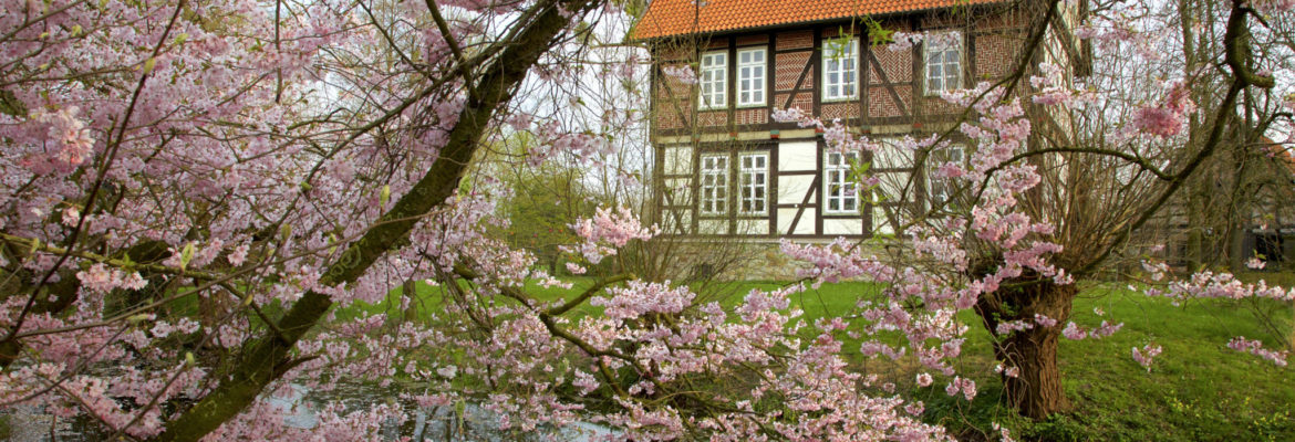 Der Frühling hat sich eingestellt auf dem Gallhof Schaumburg